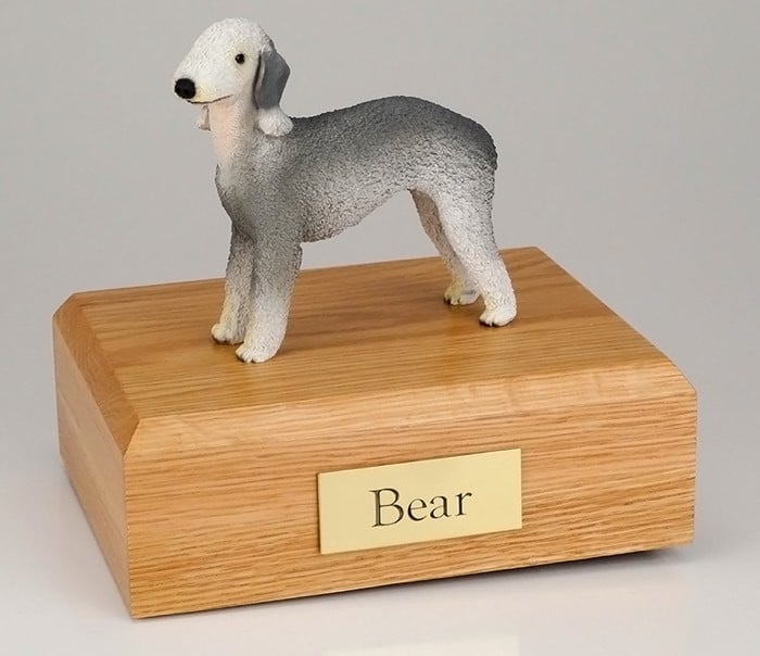 Bedlington Terrier Dog figurine cremation urn w/wood box