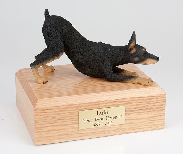 Doberman figurine cremation urn w/wood box