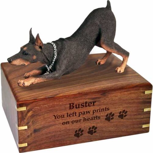 Doberman Pinscher Cremation Urn, with engraved wood, DFL25B