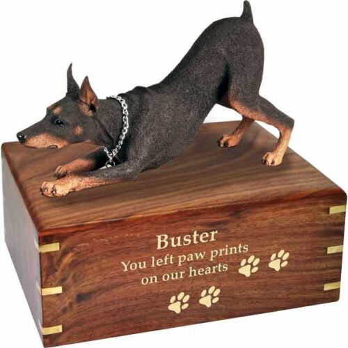 Doberman Pinscher Cremation Urn, with engraved wood, gold fill, DFL25B