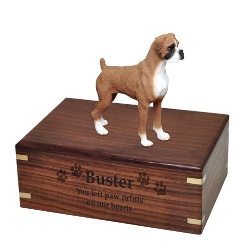 Boxer figurine cremation urn, uncropped ears, engraved wood urn