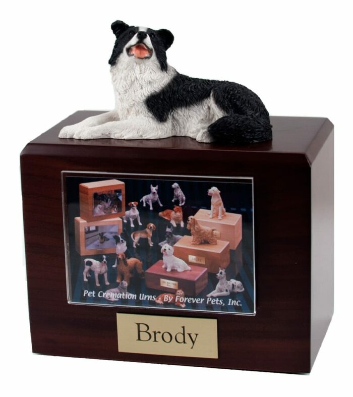 Laying Border Collie figurine photo cremation urn