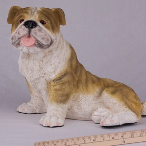 Bulldog pet dog cremation urn figurine, face, with ruler