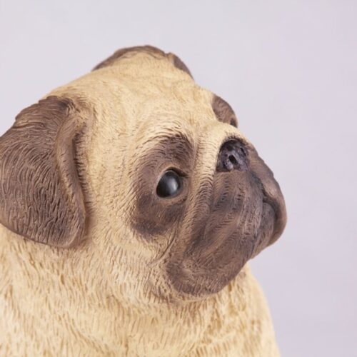 Pug pet dog cremation urn figurine, face