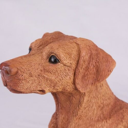 Vizsla pet dog cremation urn figurine, face