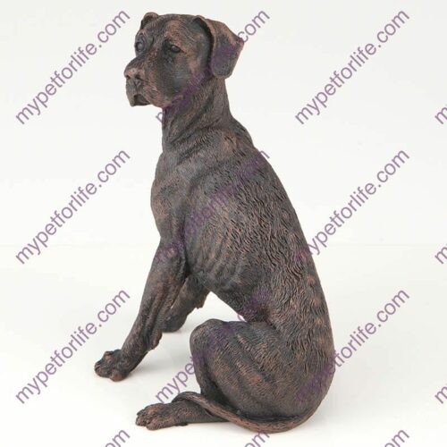 Bronze style dog cremation urn, great dane