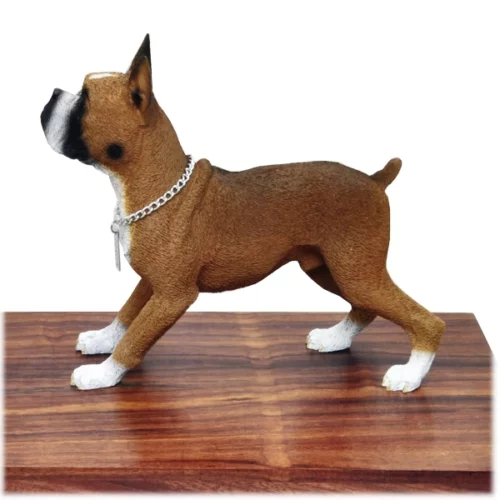 Boxer, tawny & white, cropped ears dog figurine wood memorial cremation urn, side view closeup