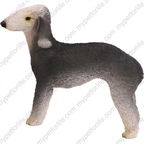 Bedlington Terrier Dog figurine for memorial urn, side