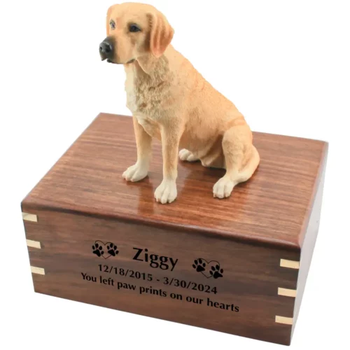Yellow labrador dog figurine on wood cremation urn, engraved wood, black fill