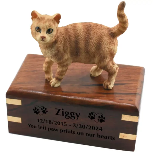 Orange tabby cat figurine memorial urn with engraved wood, black fill