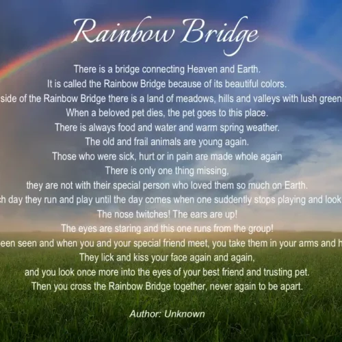 Pet urn rainbow bridge poem